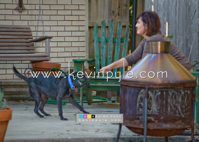 _KP71333_1.JPG