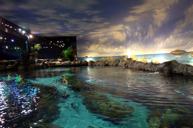 Aquarium.jpg