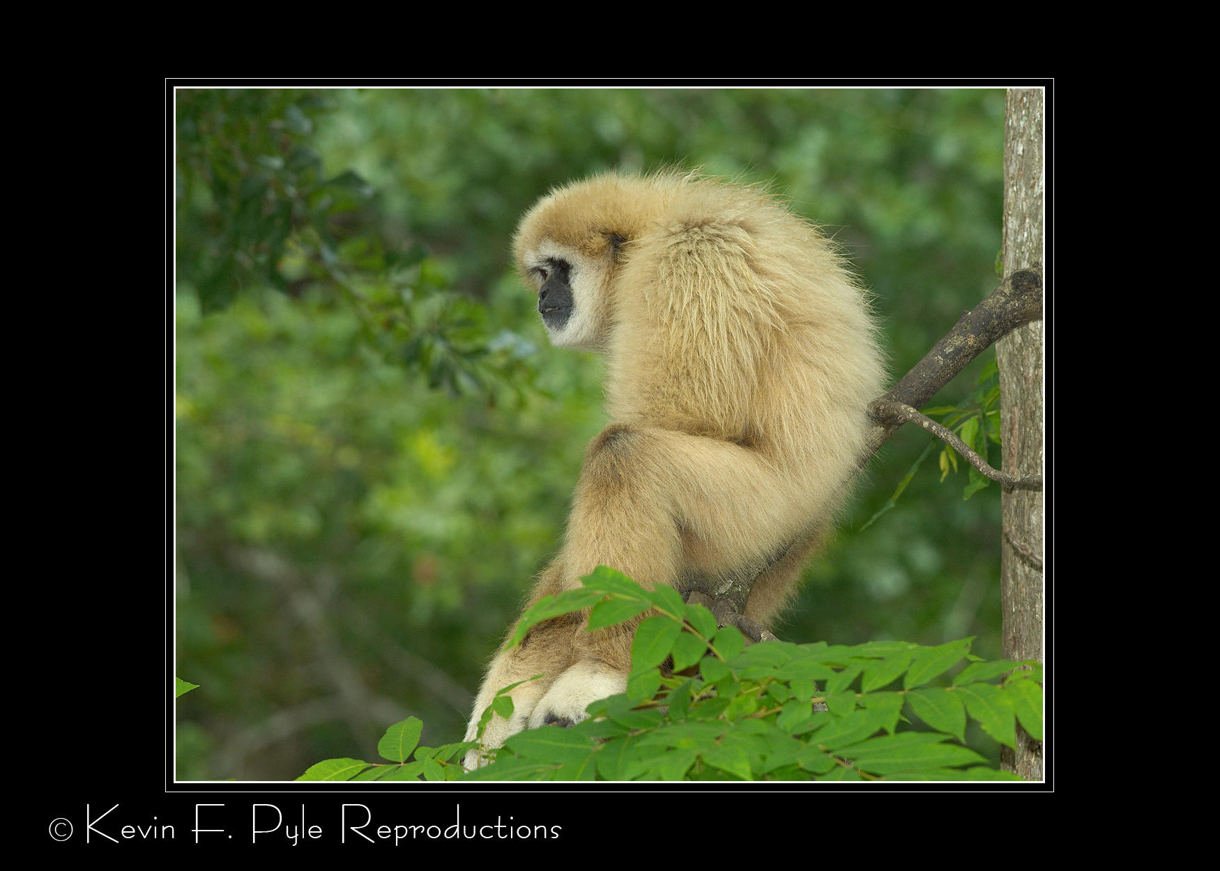 Zoo of Acadiana-0022.jpg