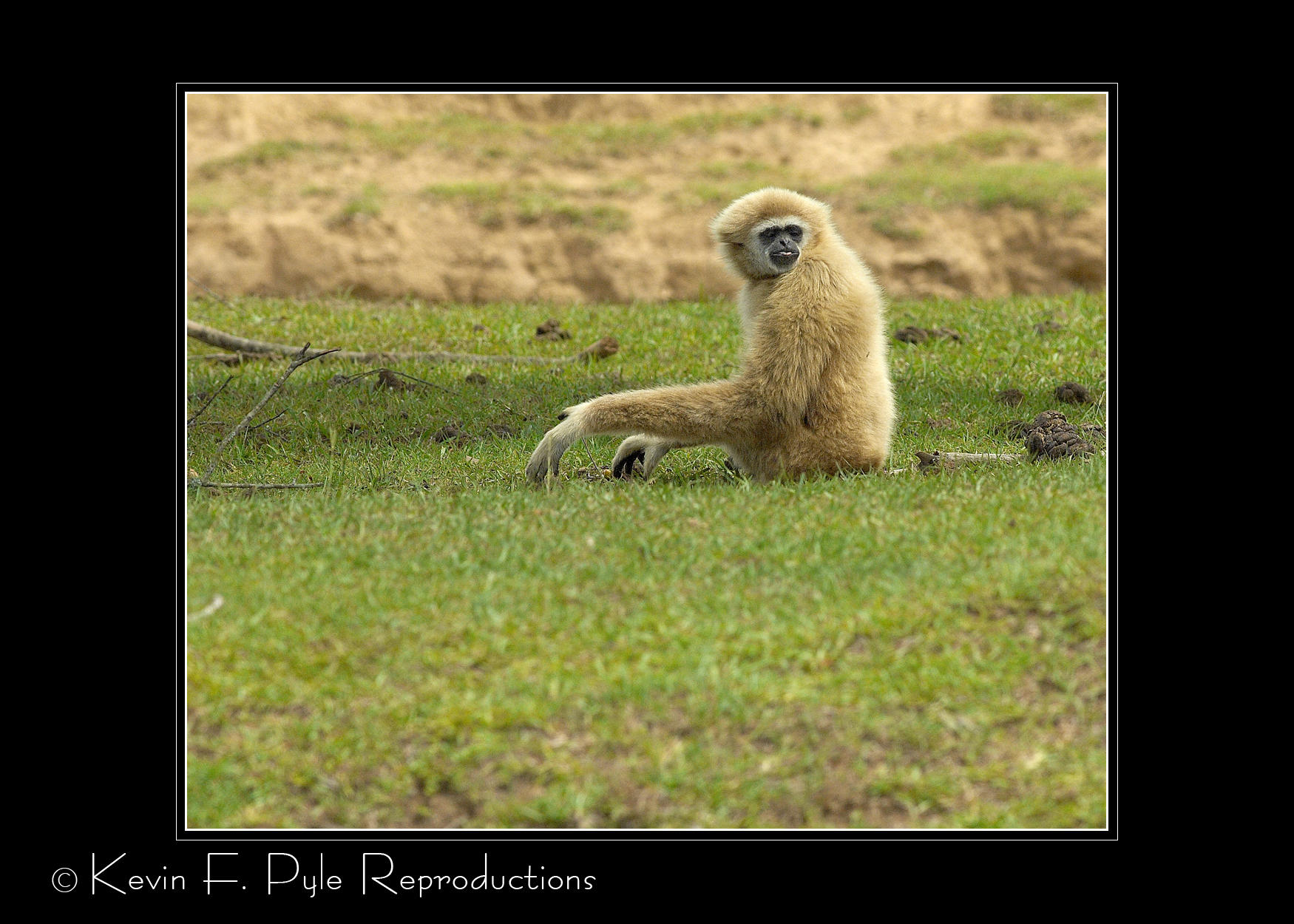 Zoo of Acadiana-0066.jpg