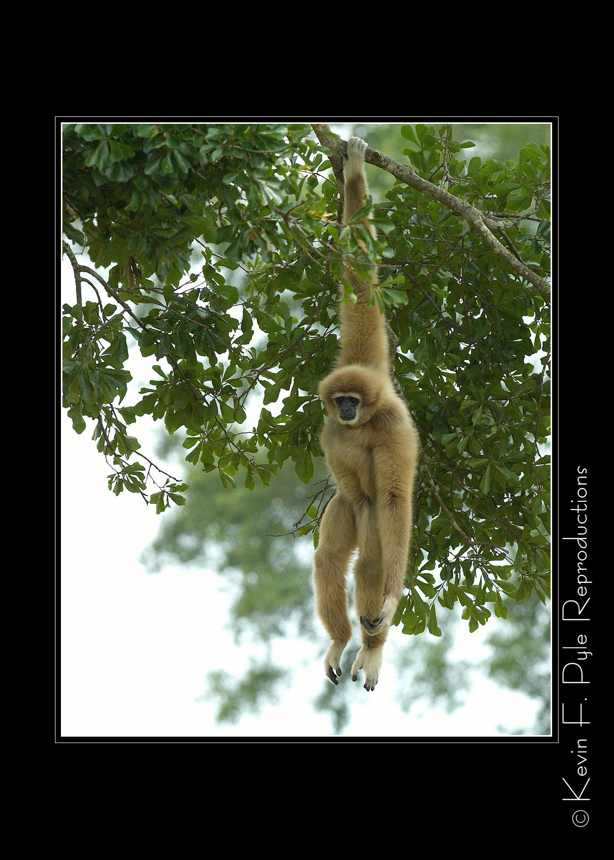 Zoo of Acadiana-0069.jpg