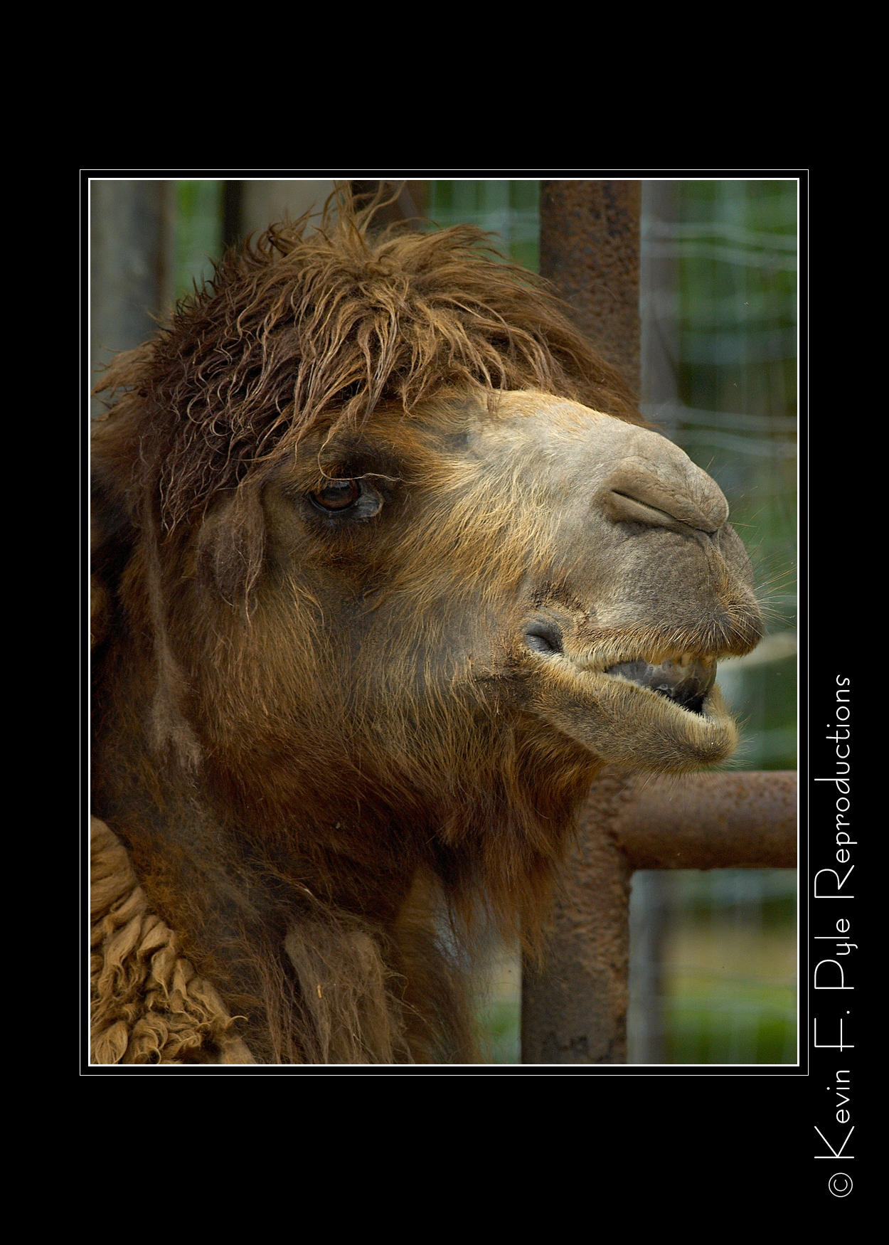 Zoo of Acadiana-0083.jpg