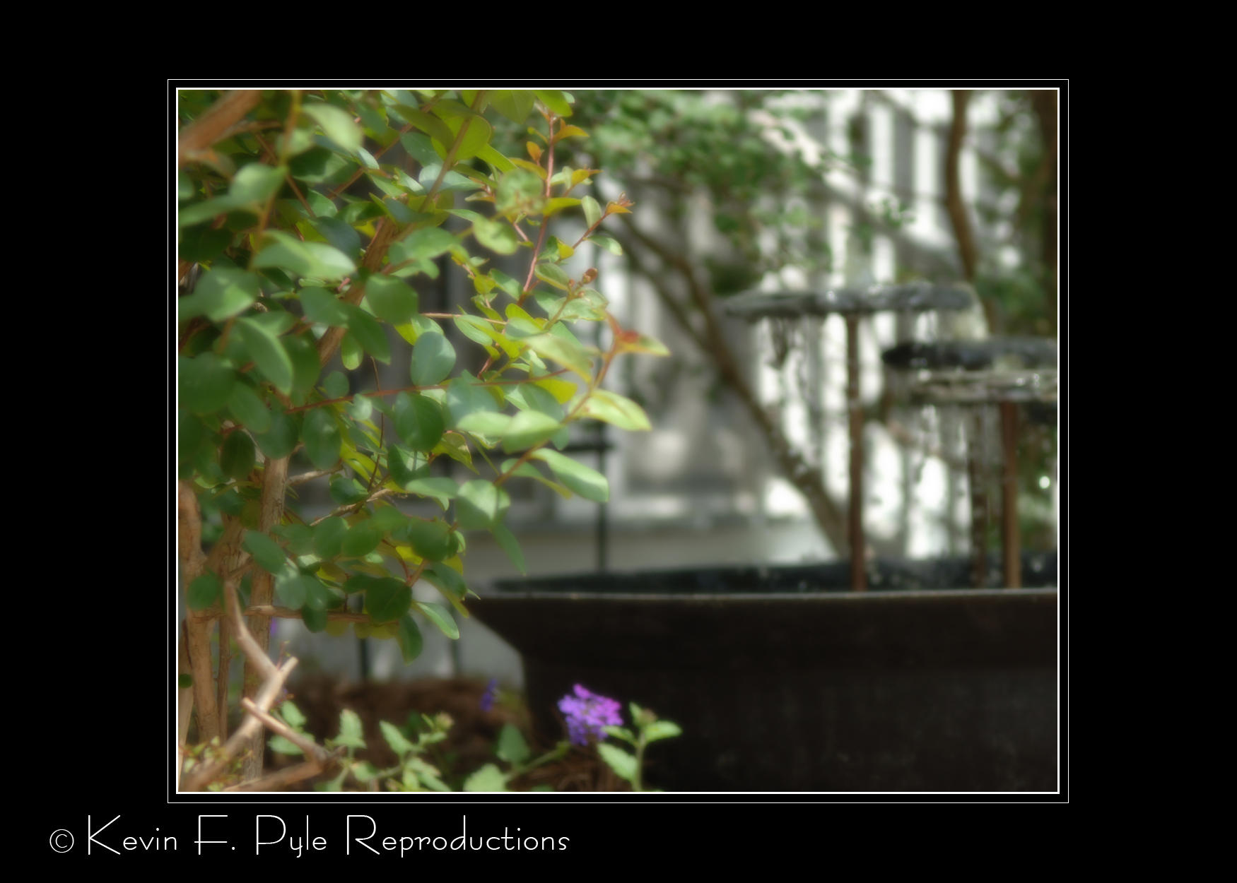 BackYardFountain.jpg
