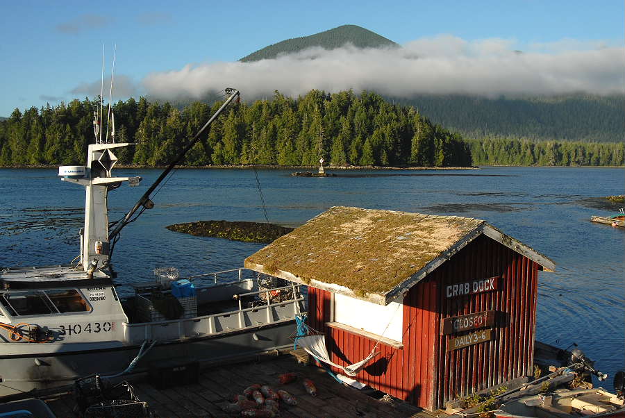 Tofino,  Vancouver  Island