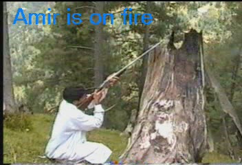 aim bird.JPG