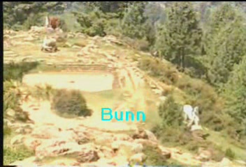 bunn.JPG
