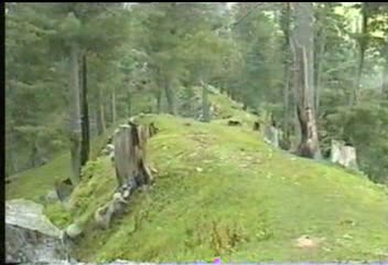 gali2.JPG