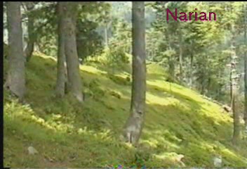 narian.JPG