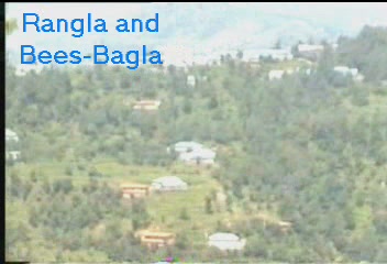 rangla  bees bagla.JPG