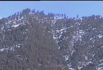 snow fall.JPG