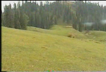 soden gali forest 1.JPG