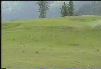 soden gali forest 2.JPG