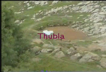 tunbla.JPG