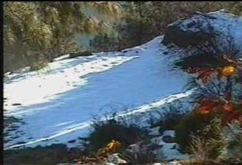 view.JPG