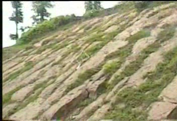 view22.JPG