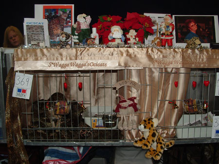 X-mas decorated cages.