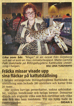 Billingebygden News 2005