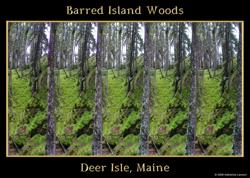 Barred Island Woods Stereogram