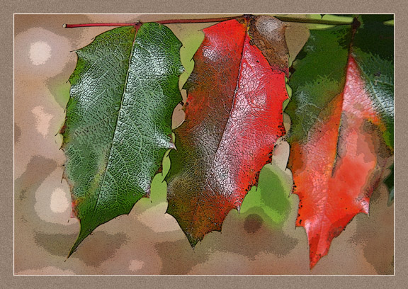 Three Leaves 