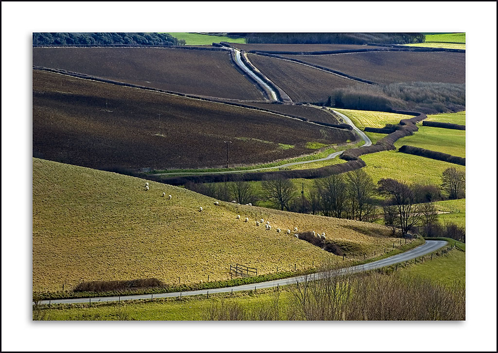 Country lanes, near Abbotsbury