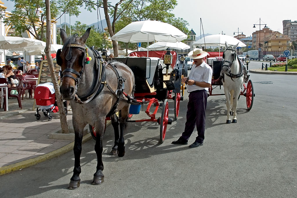 Horse taxis, Fuengirola