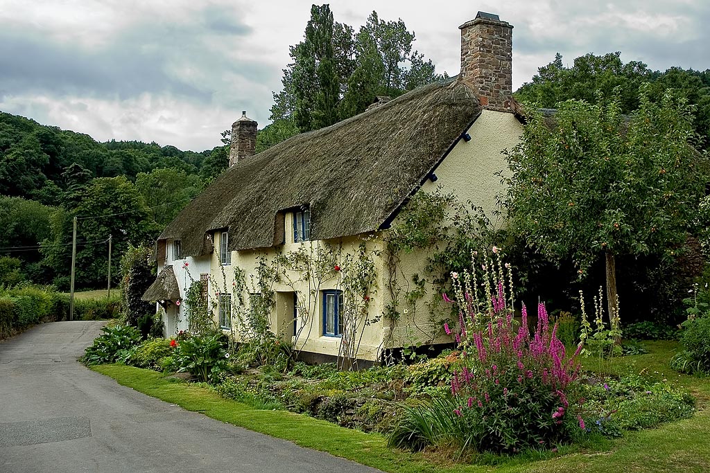Thatched cottages, Dunster, Somerset (3110)