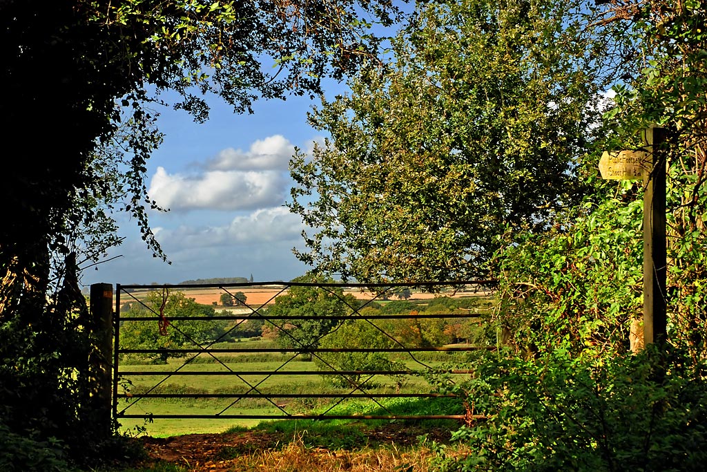 Farm gate and view (3519)