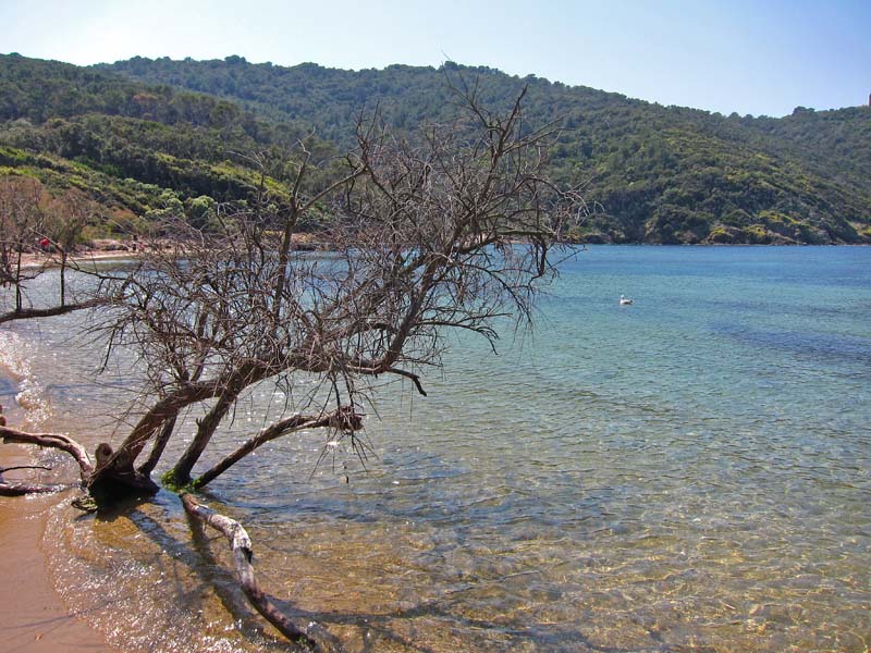 Le paradis