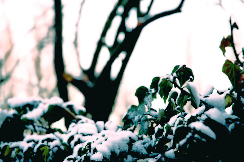 03/03/06 - Snow party