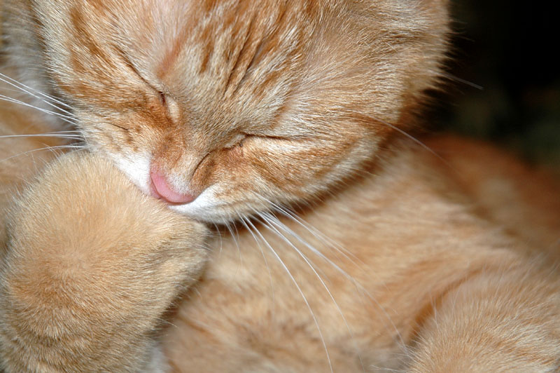 23/05/06 - The Thinker