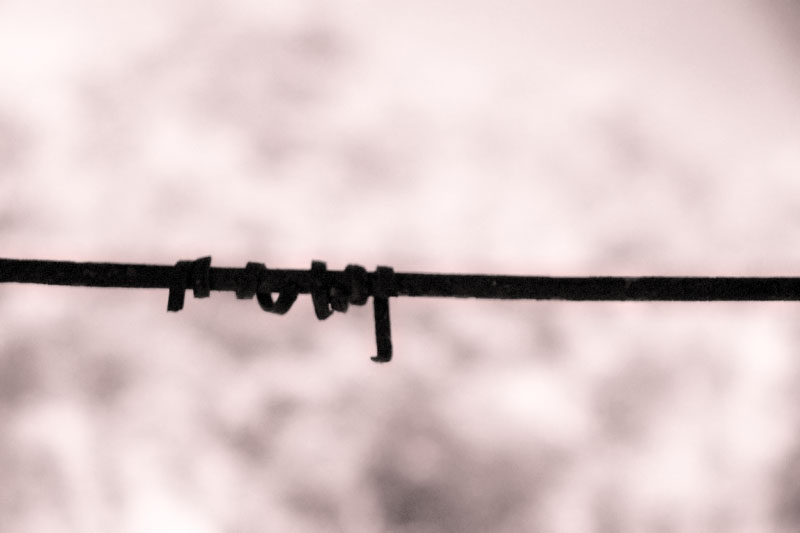 18/06/06 - Freedom