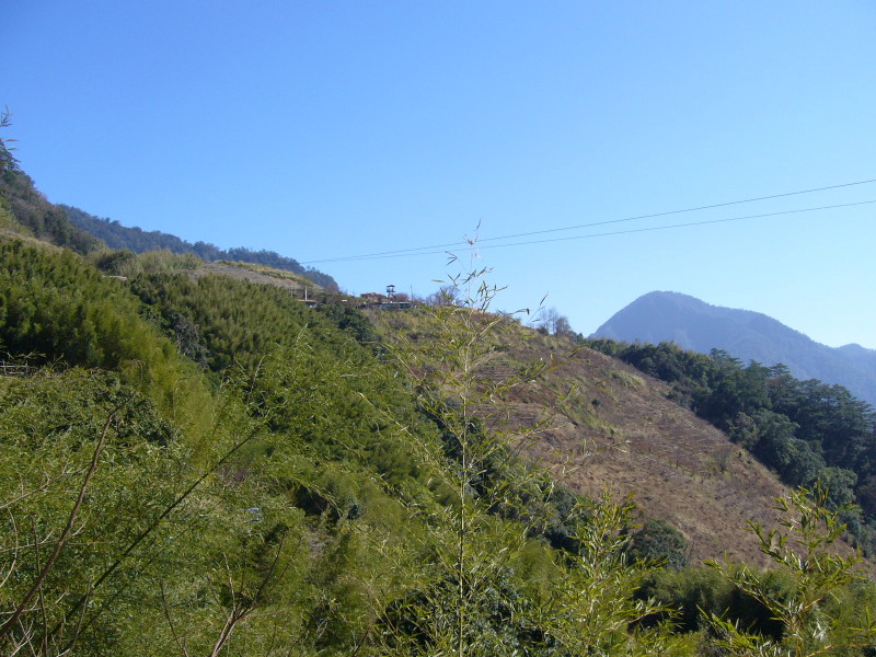 P1010850.JPG