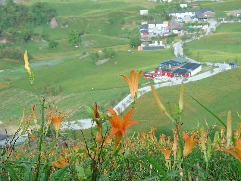 DSC06995.JPG