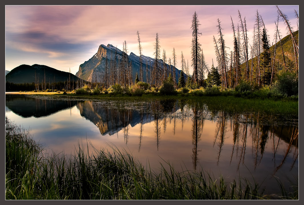 Sunrise on Mt. Rundle