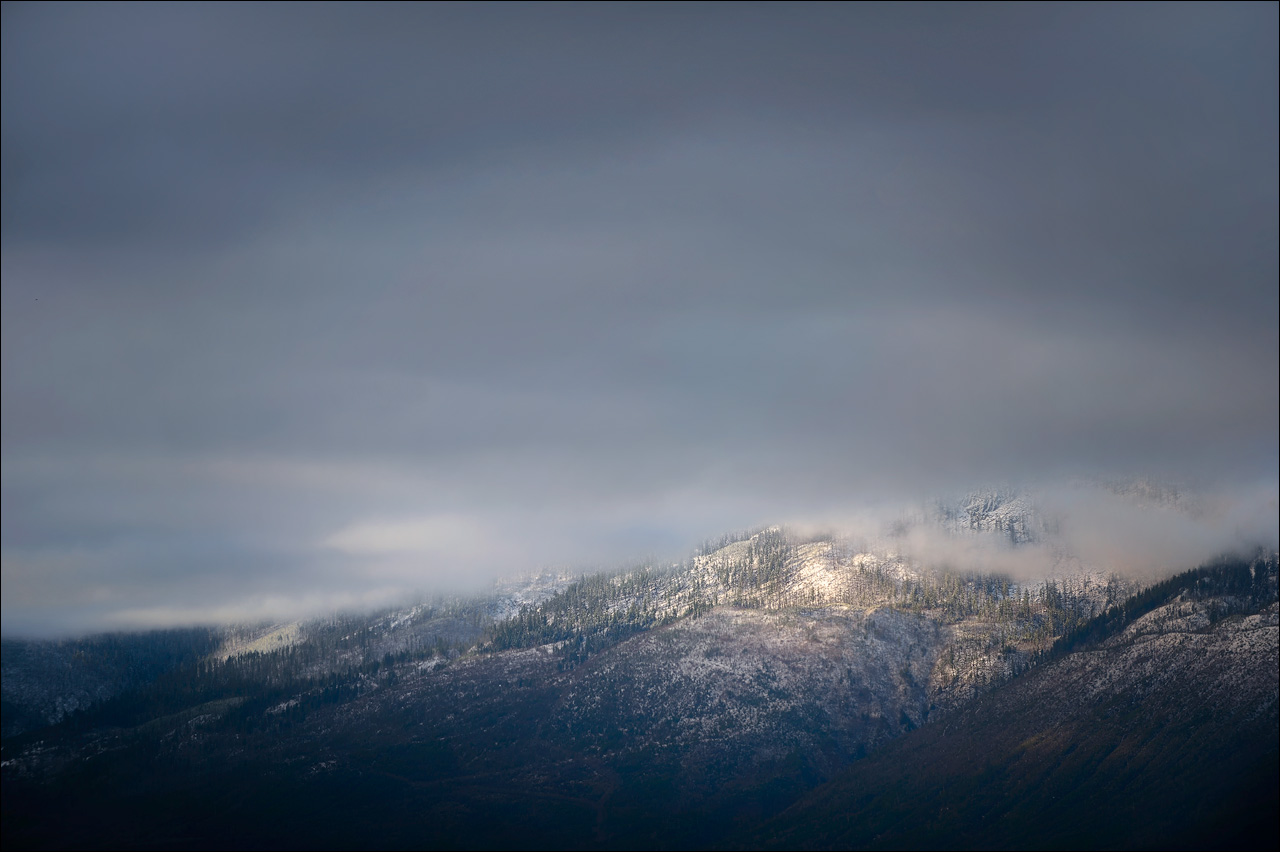 Morning Light