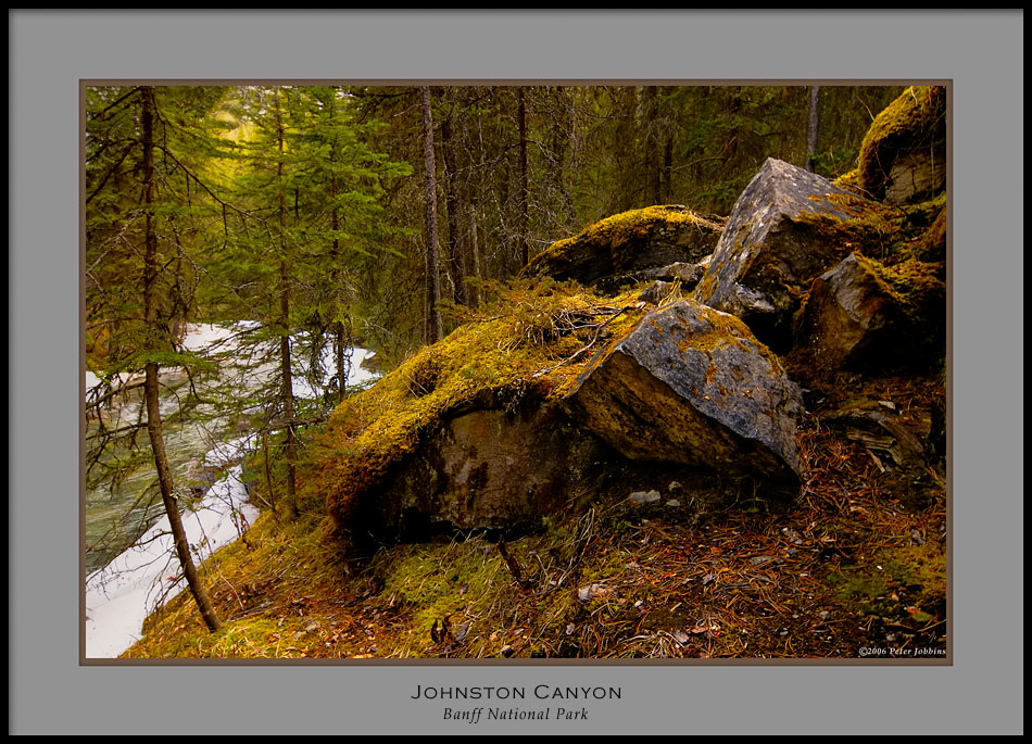 Glacial Erratics?