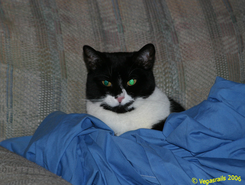 Jack