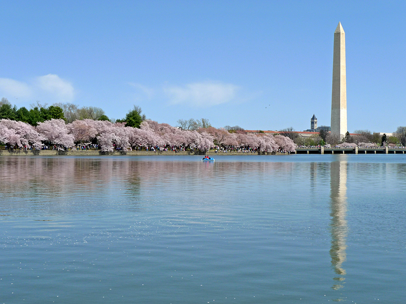 Tidal Basin