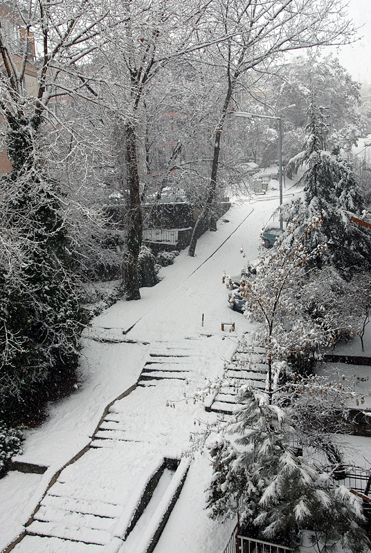 Winter 2006