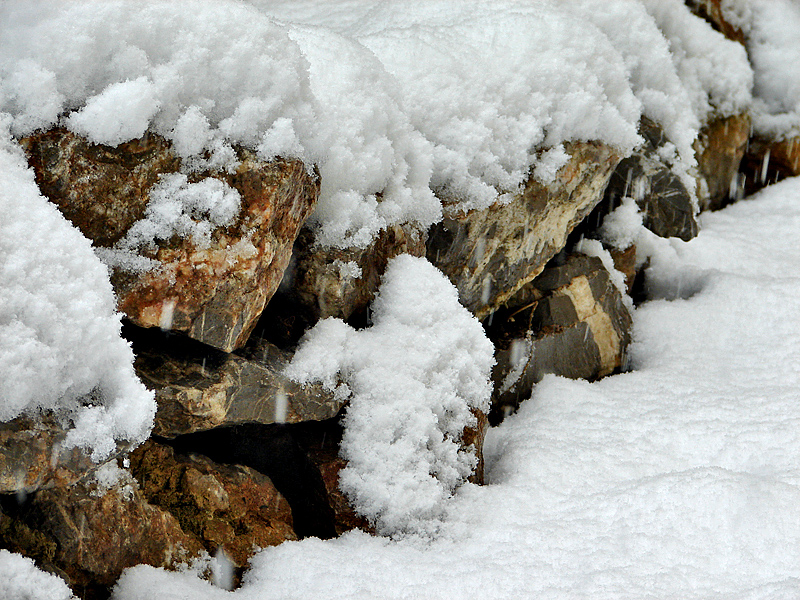 Under Cover (Rocks Challenge)