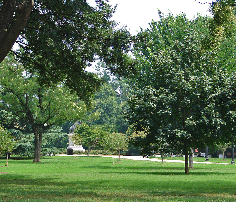 Lincoln Park, doggy heaven