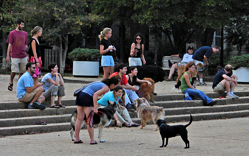 Congregating at Lincoln Park