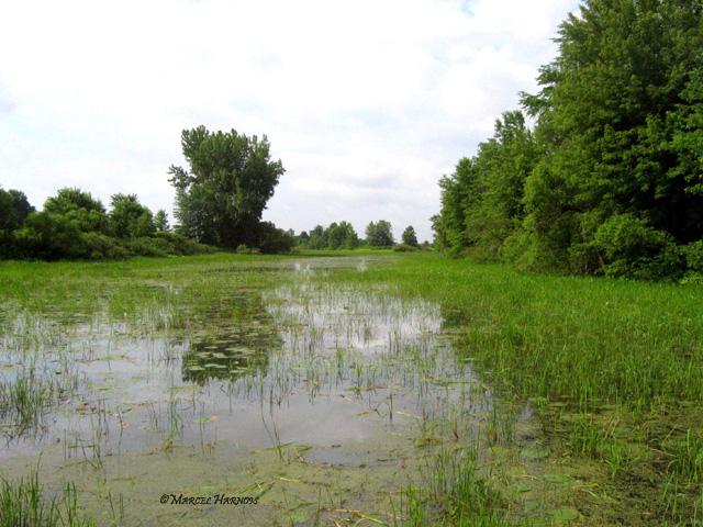 Commune de Berthier 014P.jpg