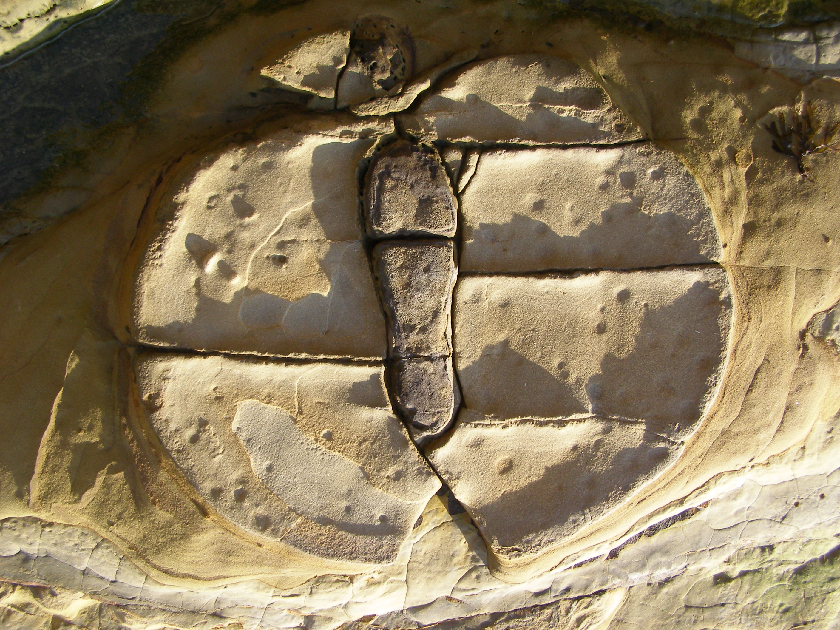 Petrified foot print ??
