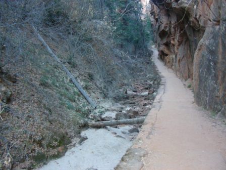 Zion-Winter-07 073.jpg