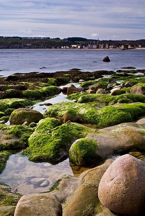 05_Apr_09<br>Stony Ground