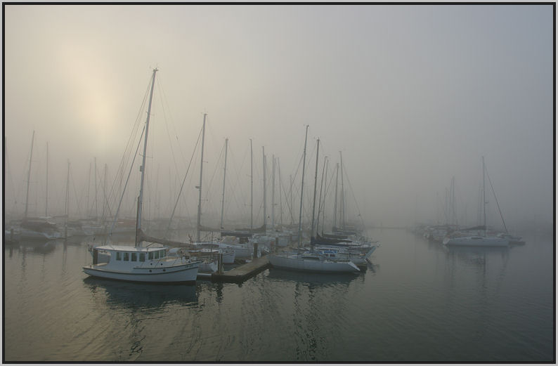 Sandy fog 7