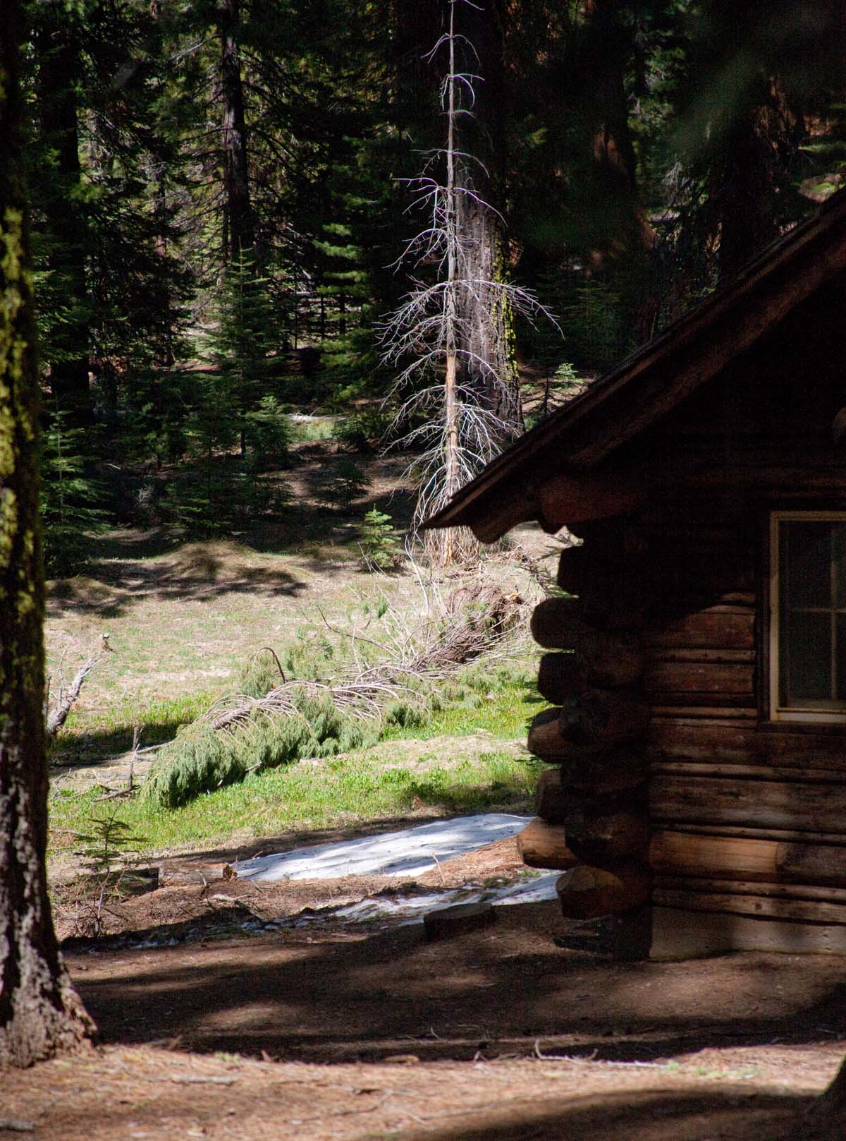 cabin in the deep woods