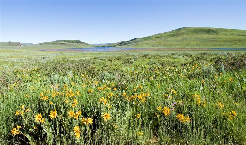 Gold Creek Road
