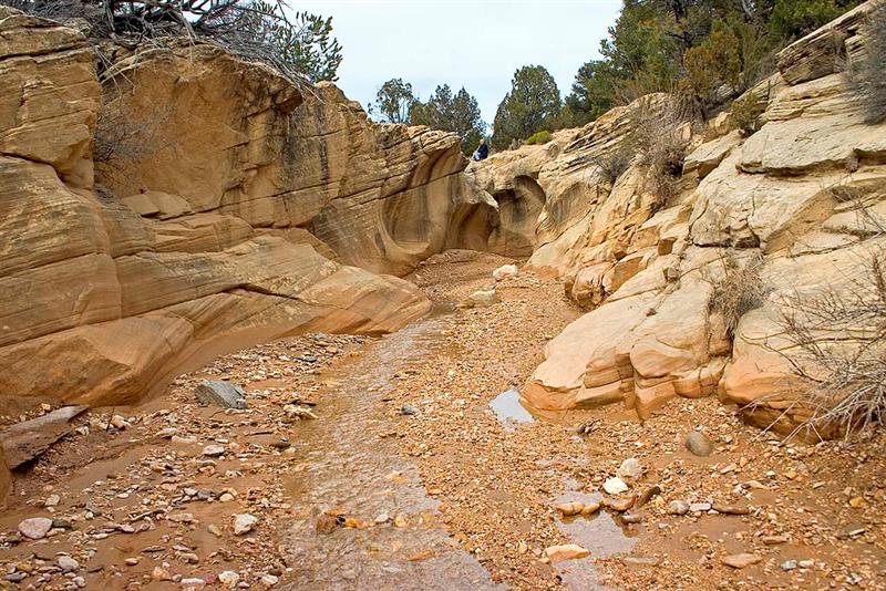 Willis Creek 3